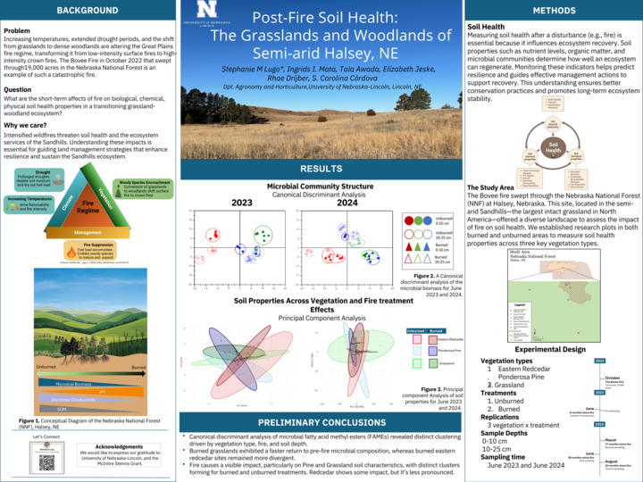Project summary poster